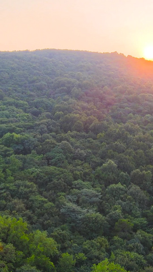 常熟4A风景区虞山森林公园景区虞山航拍合集苏州旅游110秒视频