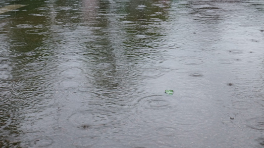 雨滴雨水雨天夏天水暴雨滴水水滴天气雨视频