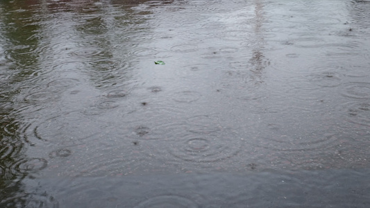 雨滴雨水雨天夏天水暴雨滴水水滴天气雨视频