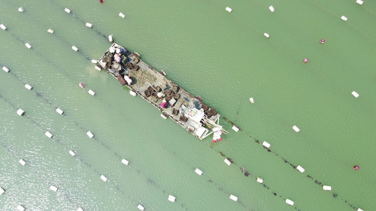 航拍大海海上养殖海水养殖视频