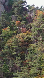 青岛崂山秋季风光航拍视频自然风光视频
