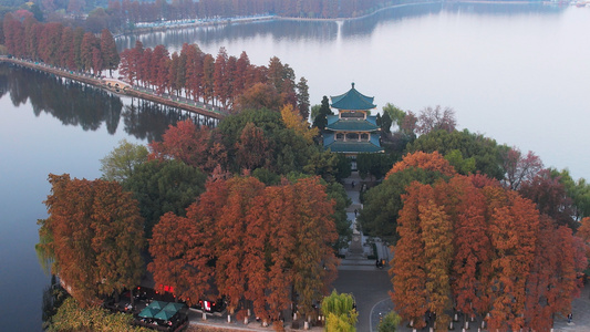 航拍城市秋天季节自然风光公园绿道湖景4k素材视频