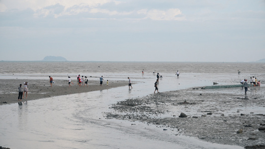 厦门会展沙滩海水退潮赶海视频