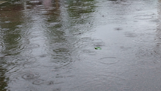 雨滴雨水雨天夏天水暴雨滴水水滴天气雨视频