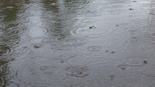 雨滴雨水雨天夏天水暴雨滴水水滴天气雨视频