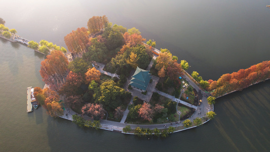 航拍城市秋色秋天季节自然风光公园绿道湖景4k素材视频