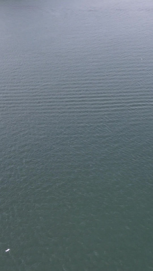 航拍蓝色大海里的旅游快艇素材38秒视频