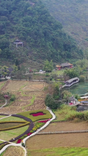 广西百色靖西鹅泉风光广西旅游34秒视频