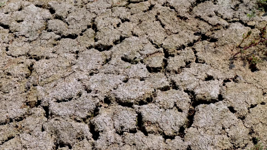 干涸的土地缺水旱灾视频