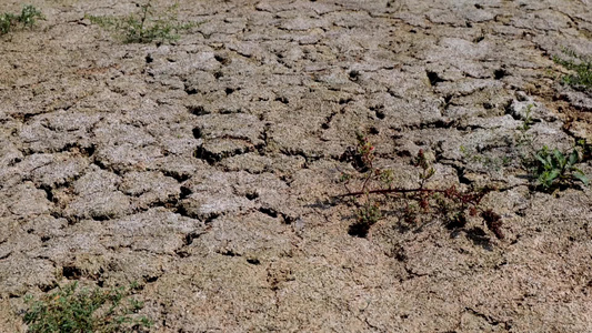 干涸的土地缺水旱灾视频