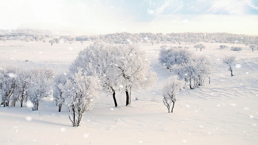 冬季雪景视频素材视频