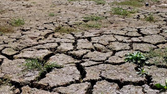 干涸的土地缺水旱灾视频