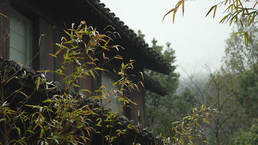 下雨天杭州寺庙唯美禅意古建筑视频