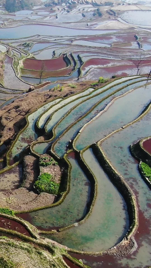 航拍彩色的元阳梯田老虎嘴景区视频旅游目的地58秒视频