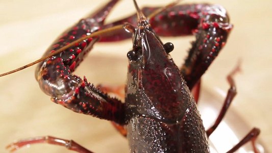 污水池塘里的黑壳污染下龙虾视频