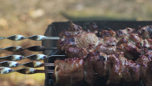 新鲜肉串在热木炭烤架上烧烤19秒视频