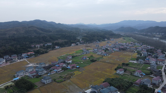 航拍湖南乡村田园美丽乡村视频