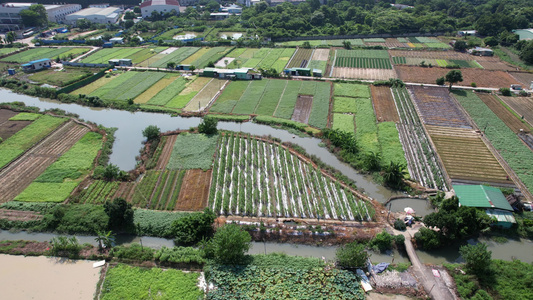 农田航拍视频