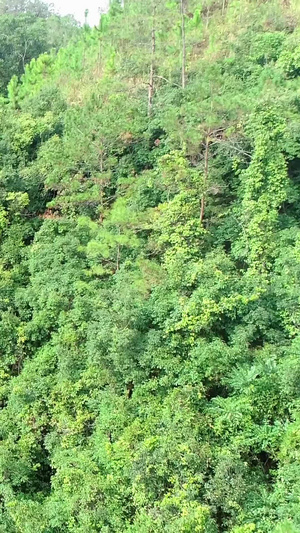 瀑布航拍自然风光29秒视频