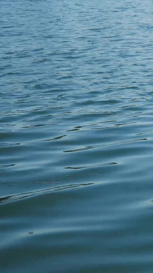 初春碧波的清澈湖面68秒视频
