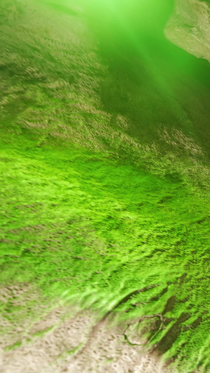 5A级风景区本溪水洞石灰岩绿植国家AAAAA级旅游景区17秒视频