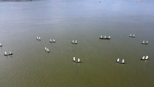 航拍海上帆船视频