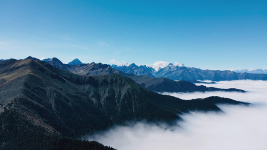 4K航拍藏区云海之上的山脉和远处雪山自然风光视频