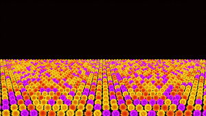 粒子三维向日葵动画元素带透明度通道19秒视频