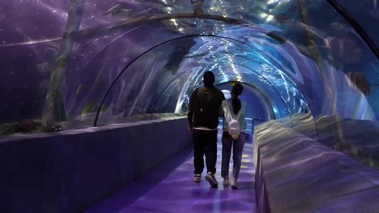 景点海洋馆的海底隧道视频