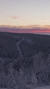冬季雾凇森林云海延时冬季风景视频