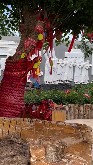实拍5A喀什古城著名景点香妃园景区爱情树宝月楼香妃雕像视频合集旅游景点114秒视频