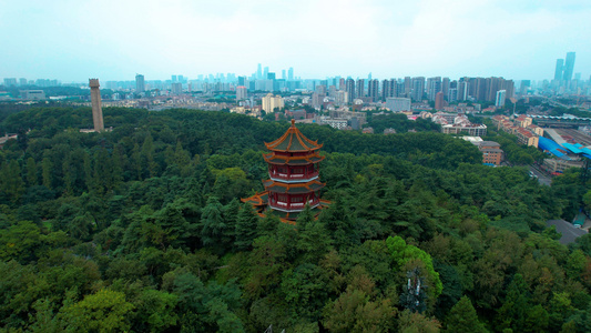 4k航拍南京4A景区雨花台烈士陵园[中山陵园]视频