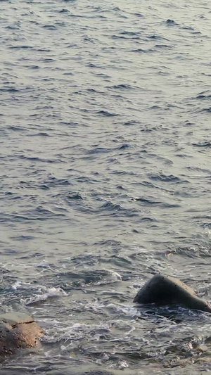 海边鹅卵石68秒视频