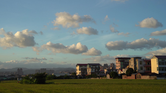 蓝天白云稻田白云风景 视频