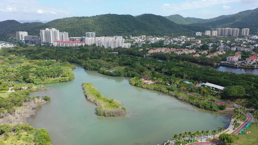 航拍海南三亚白鹭公园临春河畔湿地公园视频