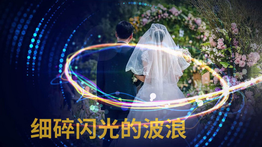摄图网-金色光圈换场婚礼相册展示会声会影x10模板视频