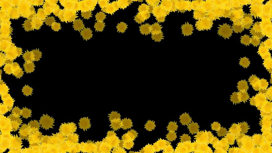 灿烂金菊边框摄图网视频