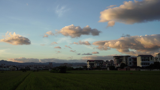 蓝天白云稻田白云风景 视频