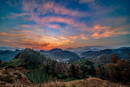 延时摄影汉中南郑茶园夕阳视频