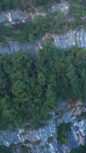 航拍武隆喀斯特地质公园山洞生态环境75秒视频