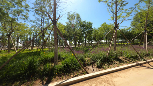 城市边界的绿植公园视频