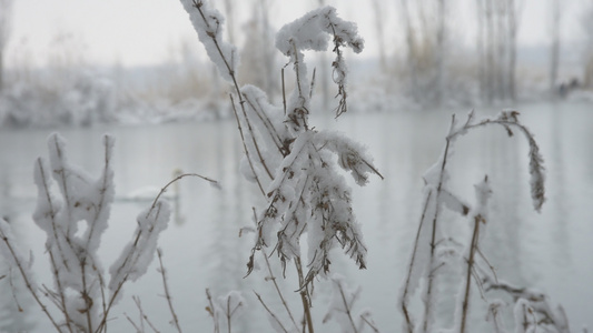 新疆冬季温泉雪景视频