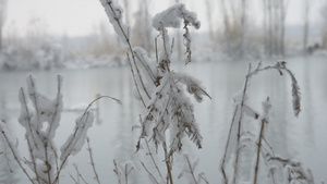 新疆冬季温泉雪景17秒视频