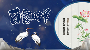 简洁白露节日节气宣传展示ＡＥ模板20秒视频