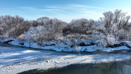 初冬河边丛林唯美雾凇雪景视频