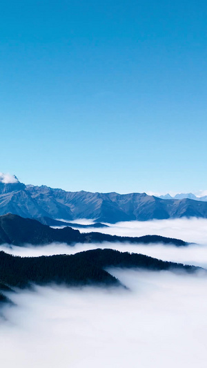 航拍藏区云海之上的山脉和远处雪山自然风光50秒视频