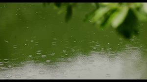 夏季雨天池塘上溅起的的波纹雨滴18秒视频