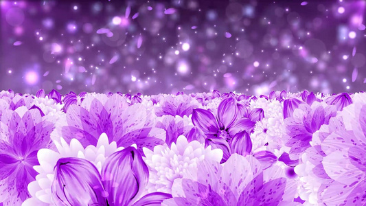 唯美大气紫色花海动态粒子光效背景视频元素视频