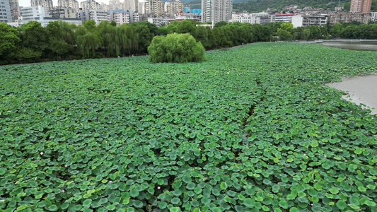 大自然青山绿水自然风光航拍视频