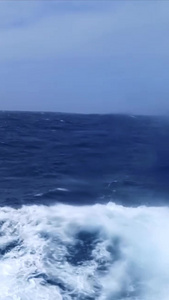 【自然合集】世界海洋日惊涛骇浪合集水环境污染视频